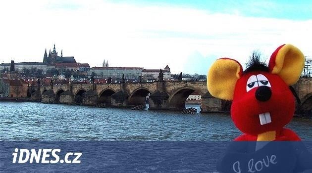 Pošlete svého plyšáka na zájezd. V Česku vznikla unikátní cestovka